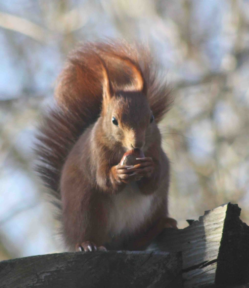 Fresssack im Garten…