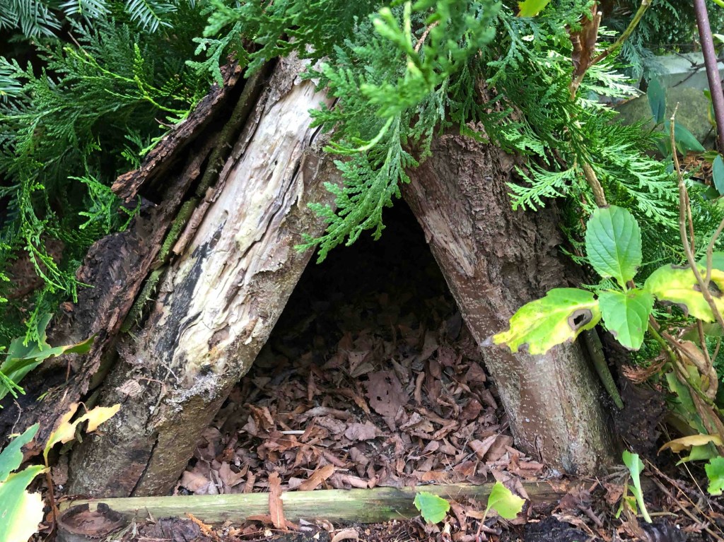 Auf der Lauer&nbsp;…