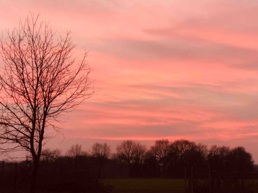 Farbenfroher Untergang!