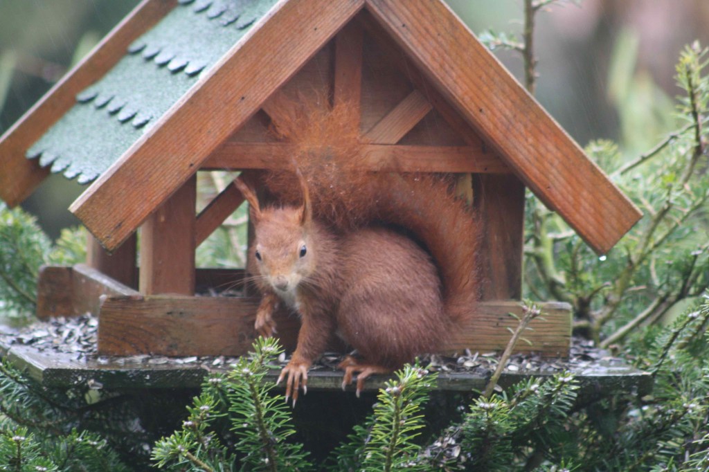 Nasser kleiner Fresssack!