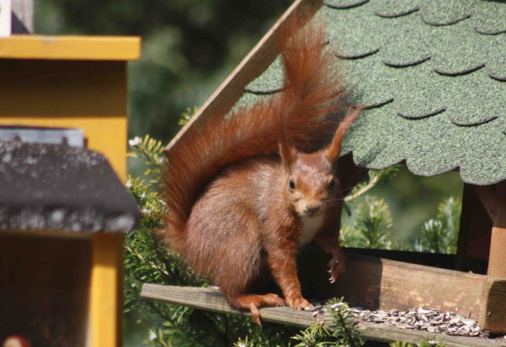 Kleiner Fresssack im&nbsp;Osterglück