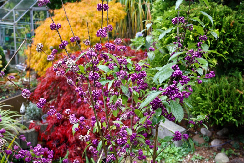 Schöne und sehr merkwürdige Dinge&nbsp;…