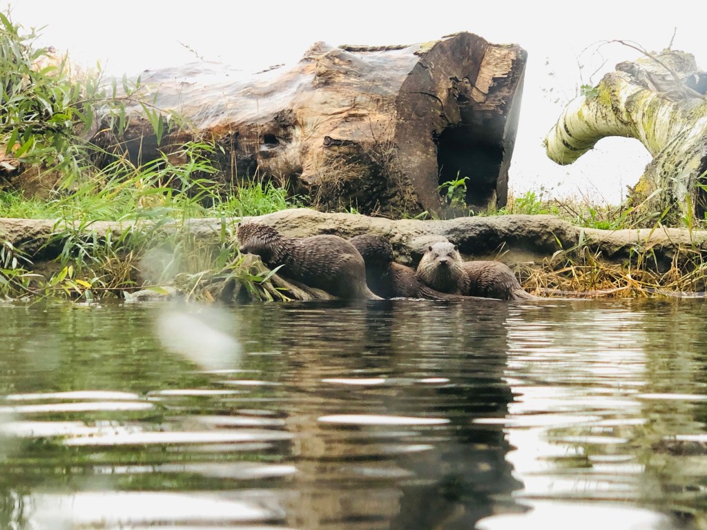 Tiere in Gefangenschaft