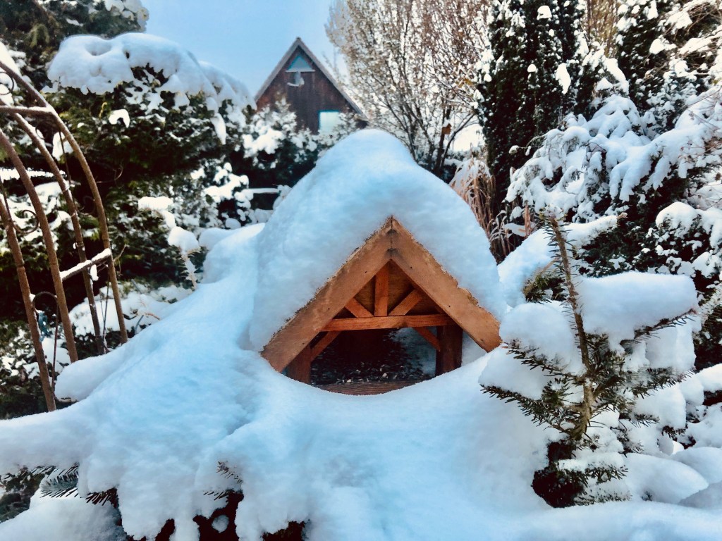 Winterwonderland im Vogelhaus