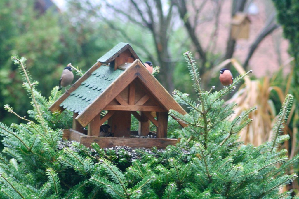 Unfreiwillig Zeuge …