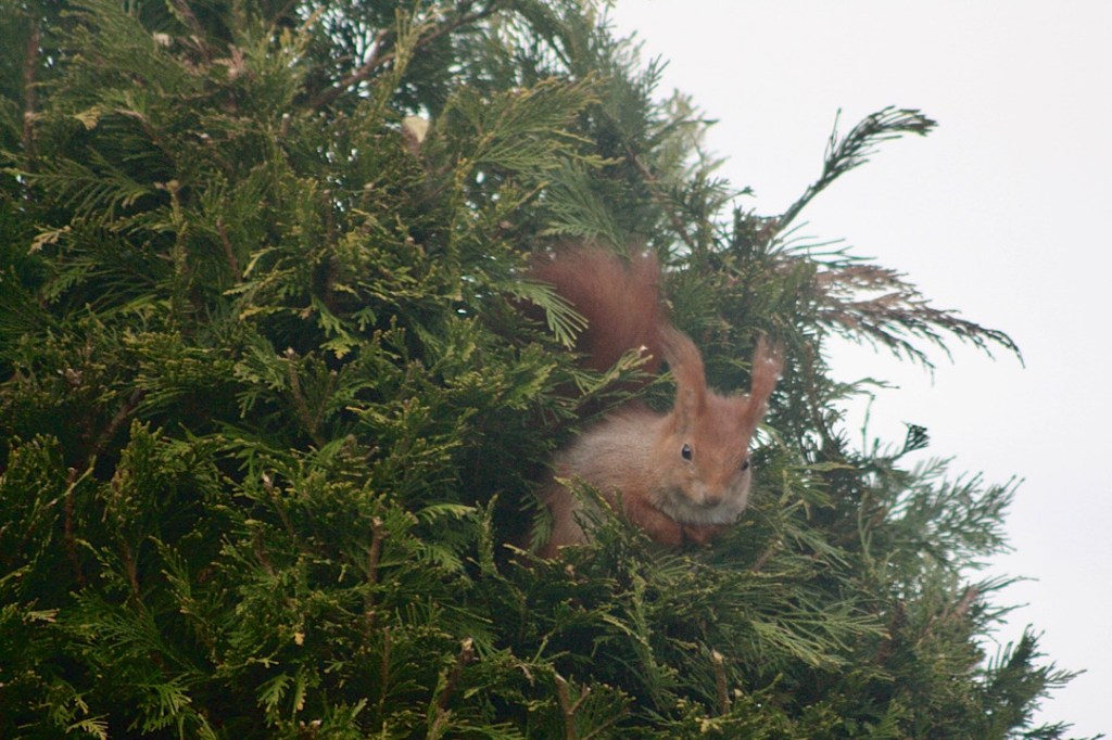 Alter Fressack auf Suche – aber&nbsp;wonach?