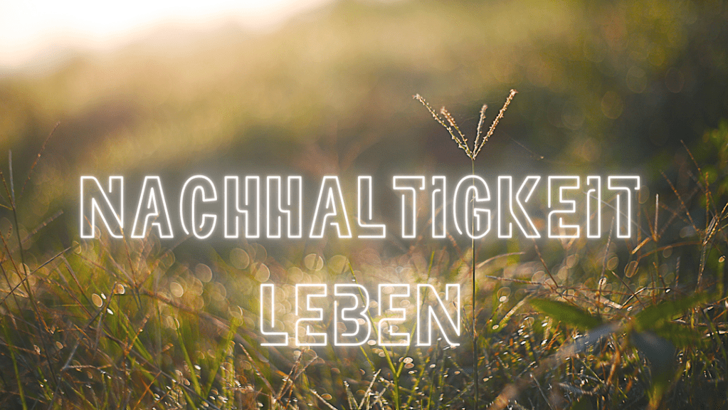 Nachhaltiger Stadt-Streifzug durch Stader Altstadt am Samstag 4. Mai 2024 10:00&nbsp;Uhr