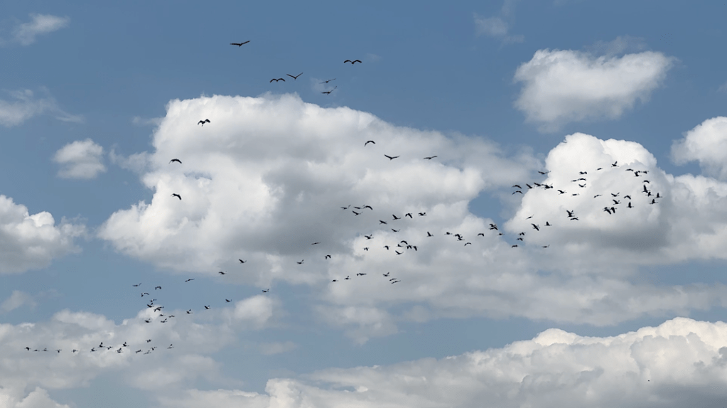 Eine Woche ohne Moor