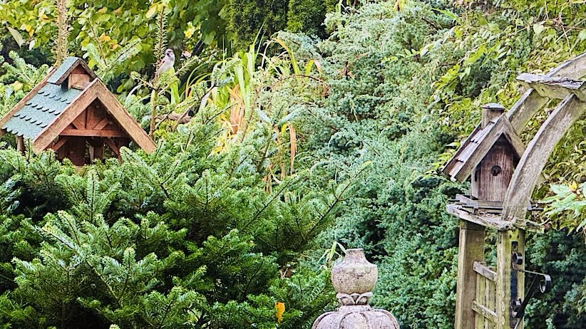 Wo sind die kleinen Gartenbesucher&nbsp;hin?