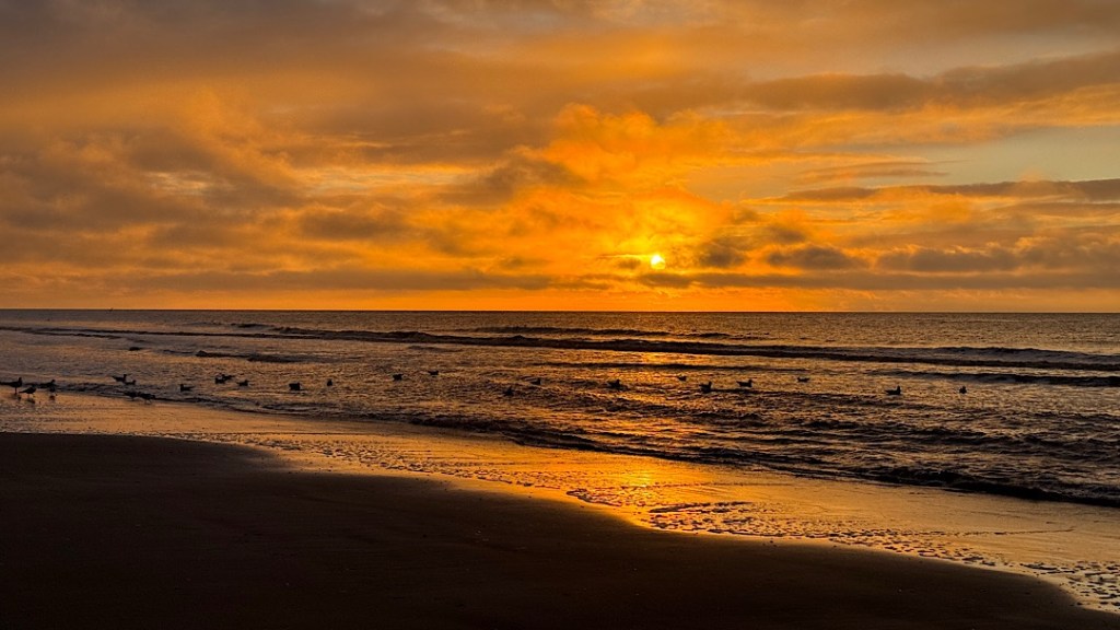 ✅ Nordsee ohne&nbsp;Schnee!