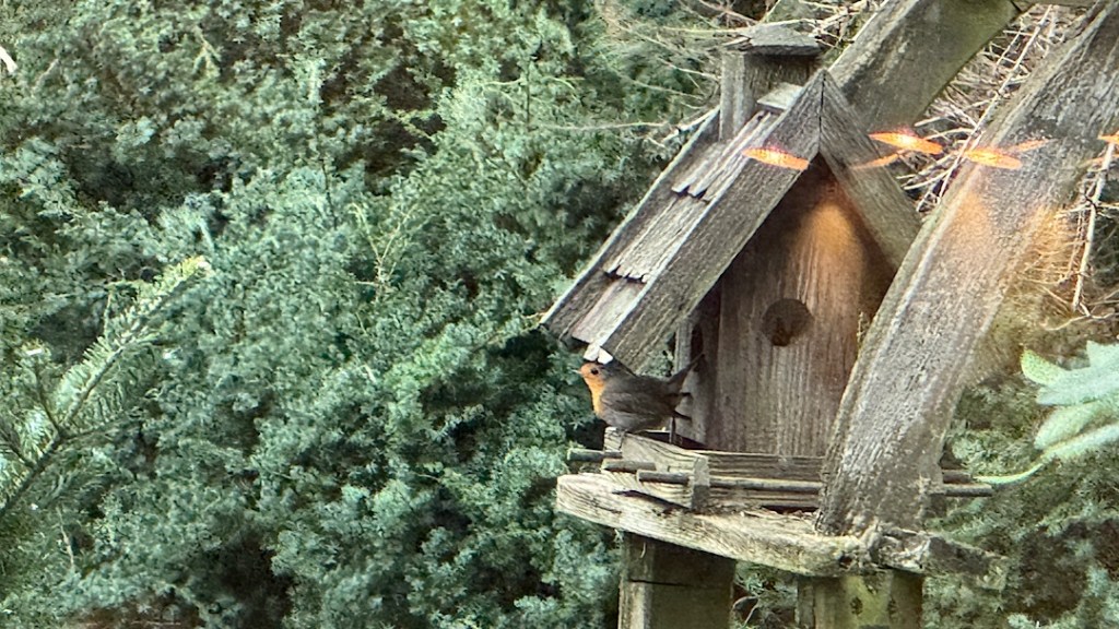 Erster Besucher in&nbsp;2025!