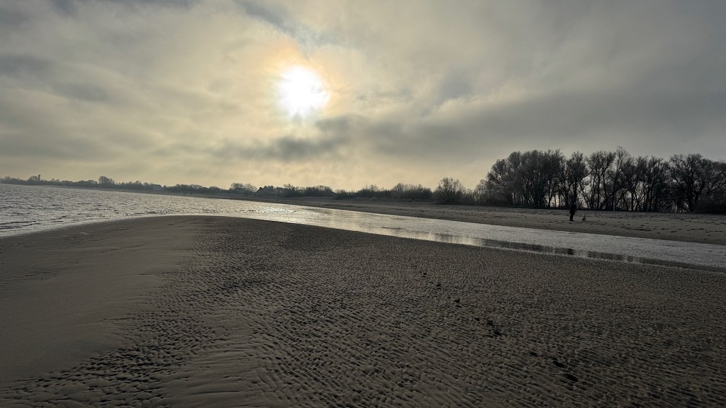 Frostige Müllsammlung