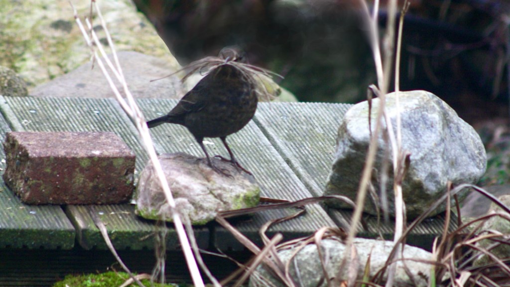 Schnappschüsse der letzten&nbsp;Wochen…