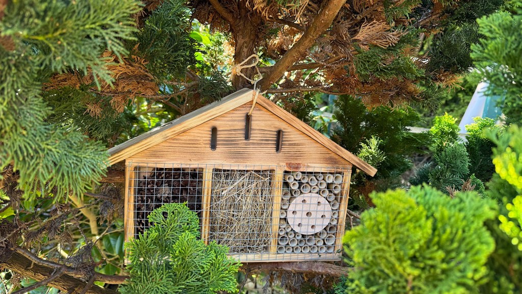 Rückblick März in Sachen&nbsp;Natur