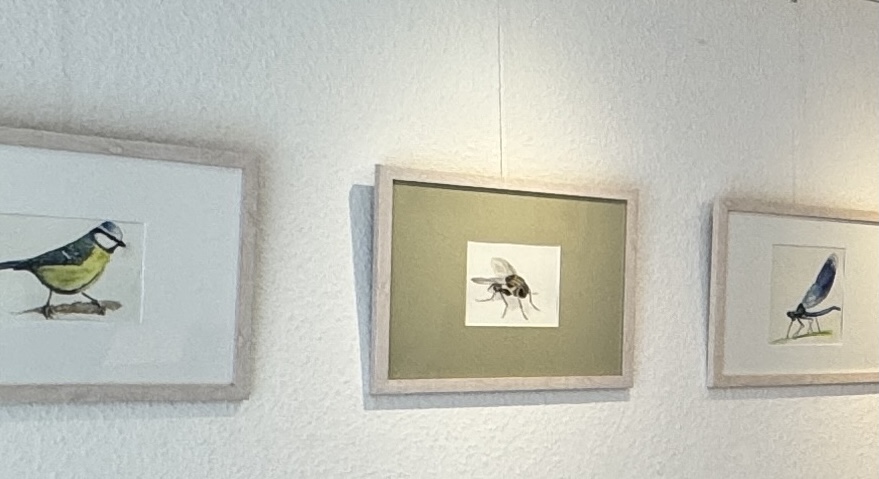 Natur im Gleichgewicht –&nbsp;hängt