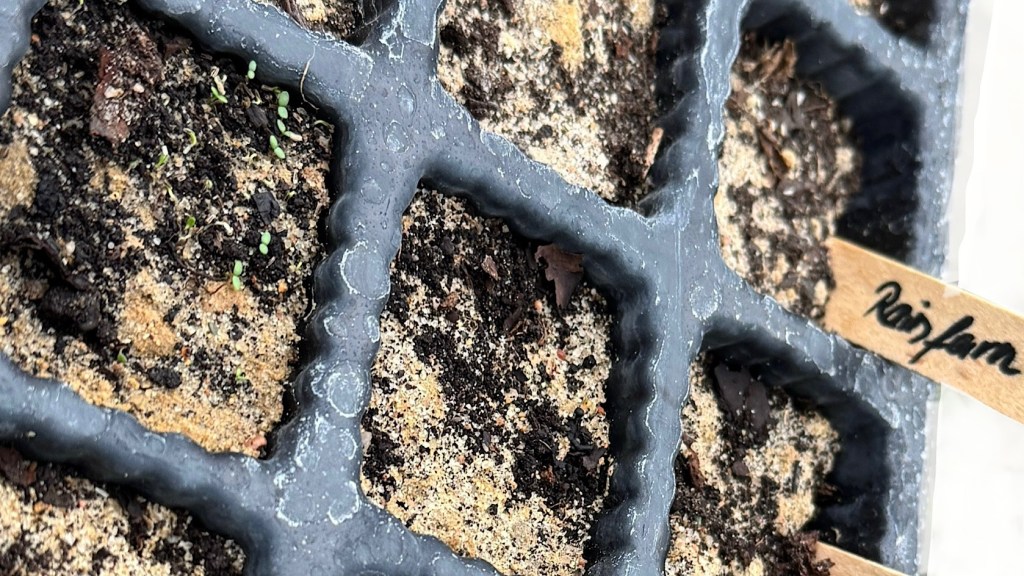 BUND II. – endlich geht’s&nbsp;los