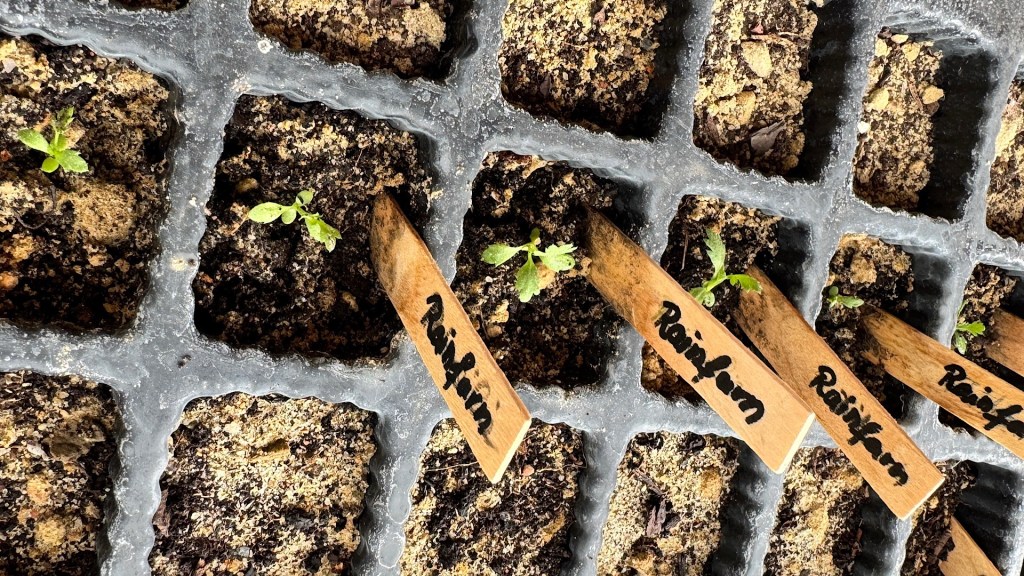 BUND Naturstauden IV.