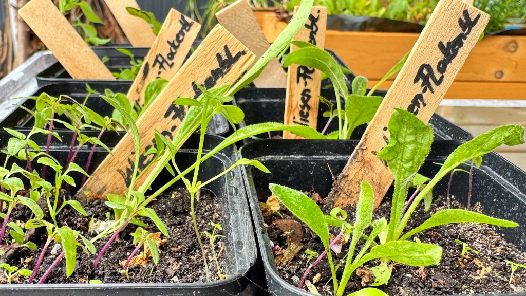 BUND Naturstauden V.