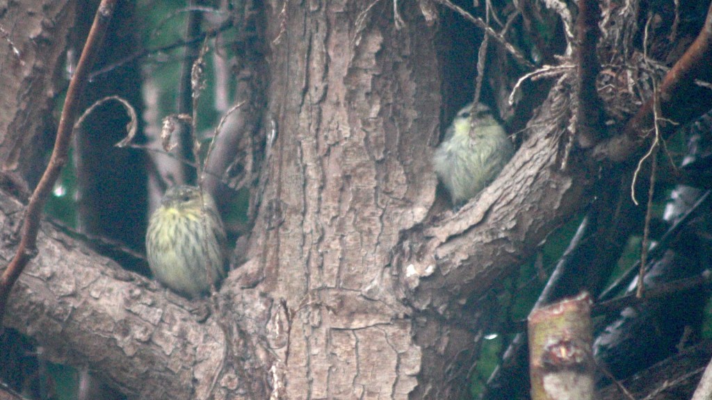 Es regnet und regnet&nbsp;…