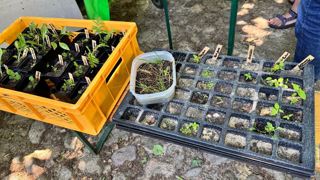 Erstes Naturstauden-Netzwerktreffen