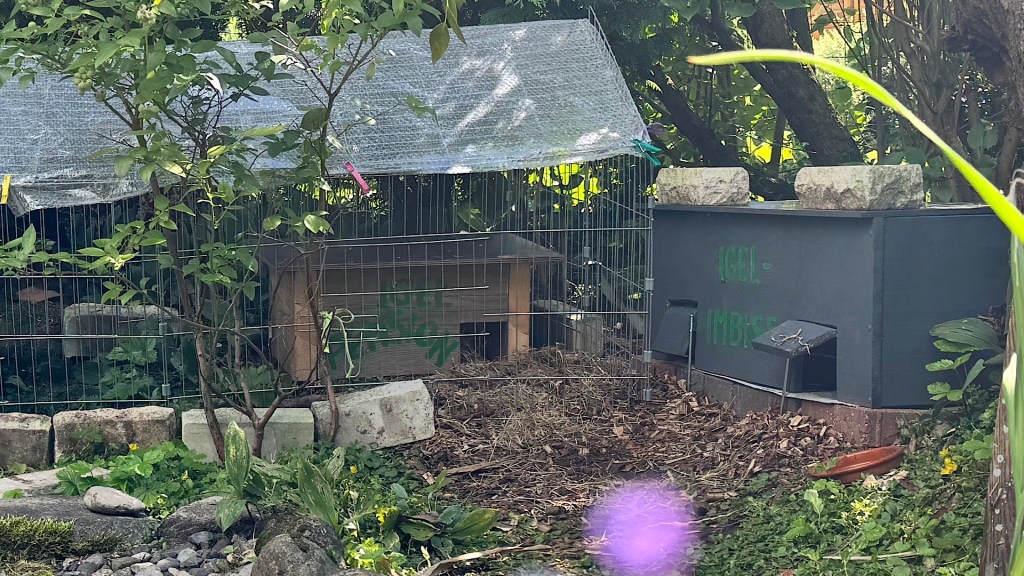 Leerstand Igel-Pension