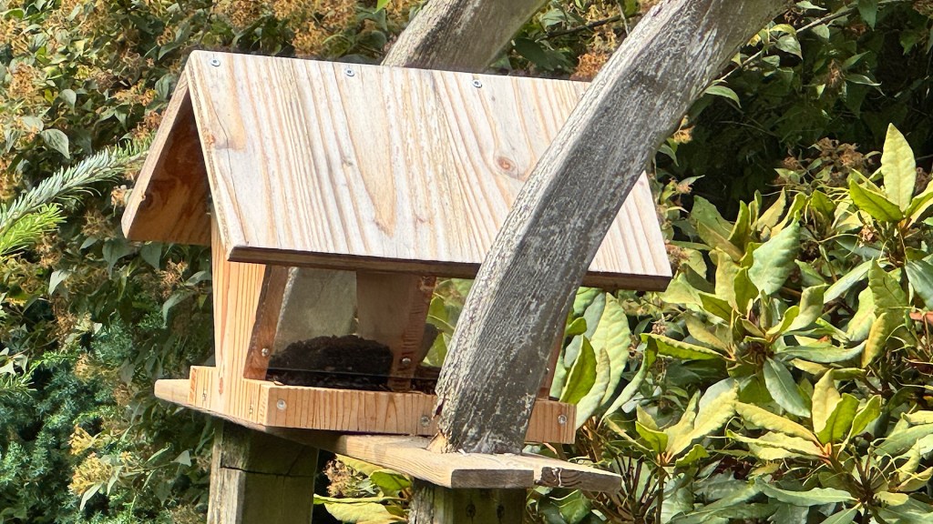 Kein Igel aber glückliche Meisen