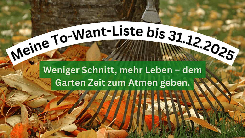 Meine To-Want-Liste bis&nbsp;31.12.2025