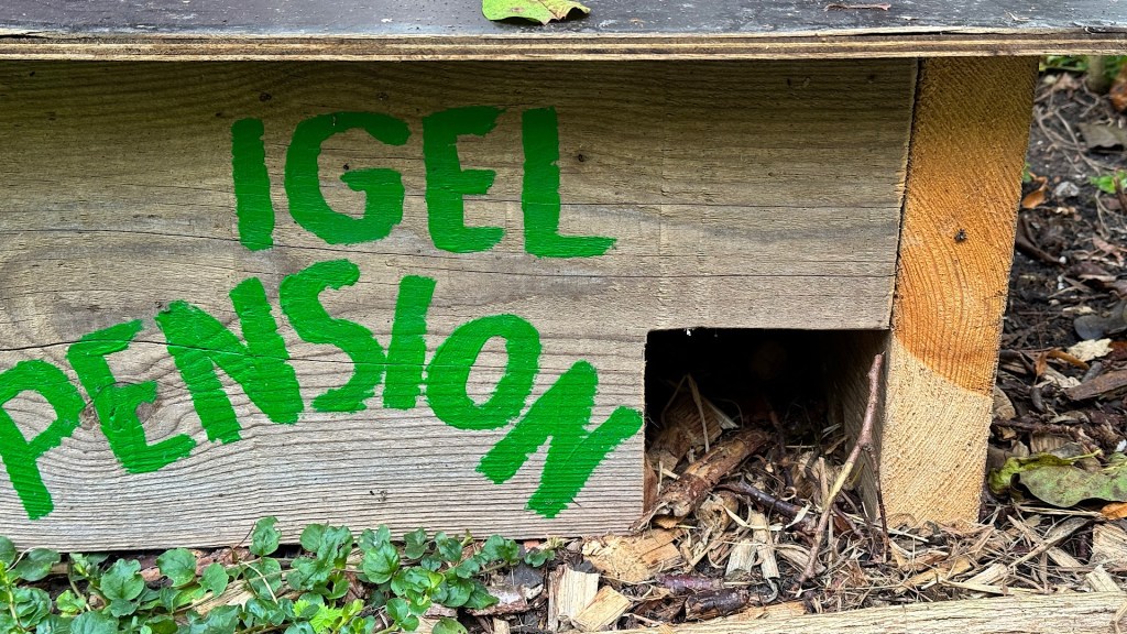 Besetzte Igel-Pension