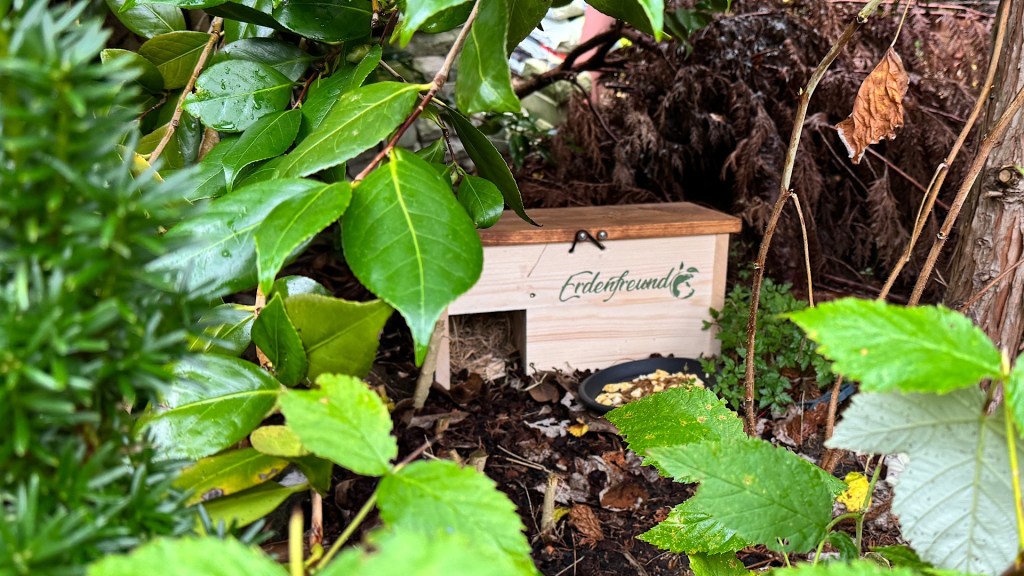 Erst einer, dann zwei und nun&nbsp;…