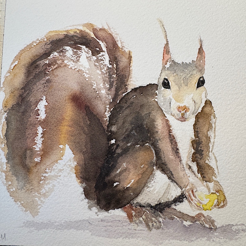 Aquarell eines Eichhörnchens