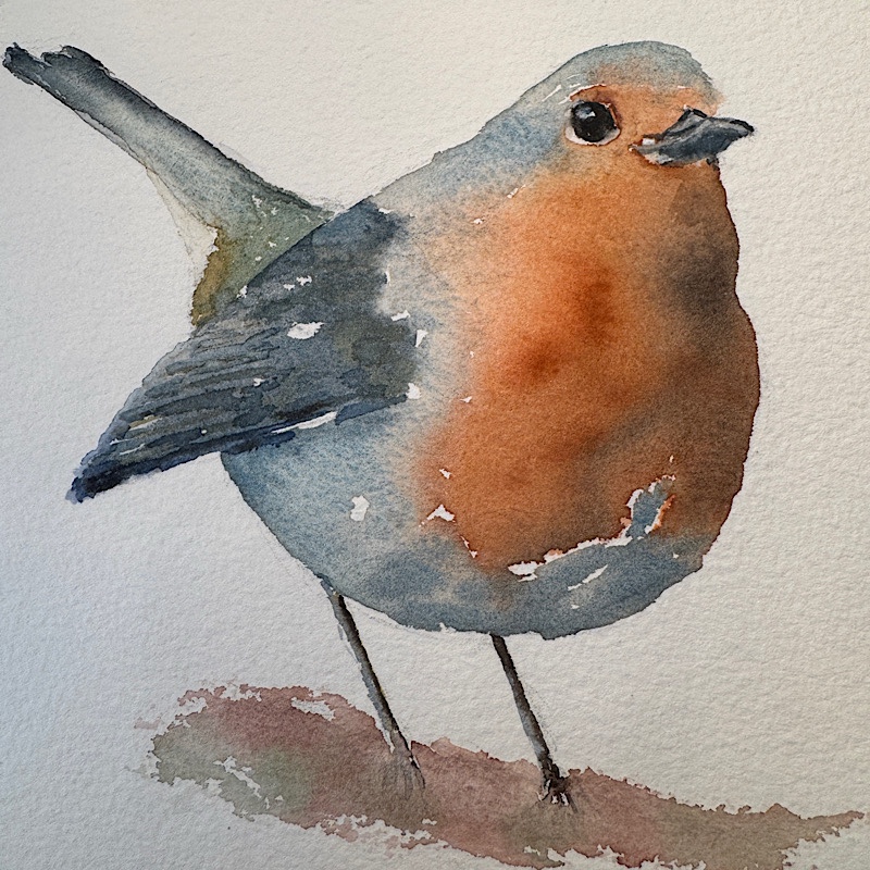 Aquarell eines Rotkehlchens