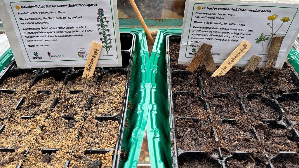 2. Runde Naturstauden